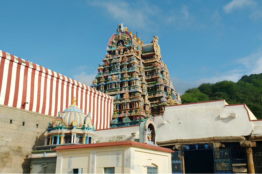 Sacred Month of Thai - Best Travel Agency in Chennai
